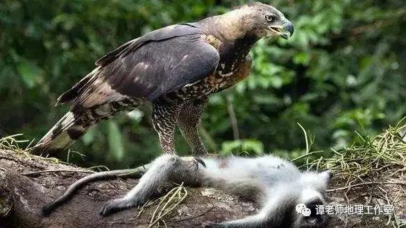 条有关亚洲的冷知识！j9九游会登录30(图12)